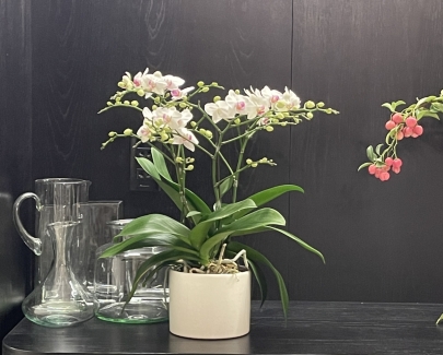 Căn hộ cao cấp Parkland Thảo Điền - Chị Trang 